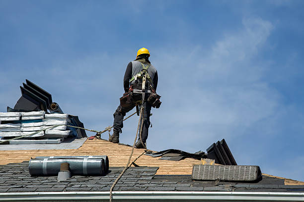 Professional Storm Damage Roof Repair technician working in Buffalo Creek, CO